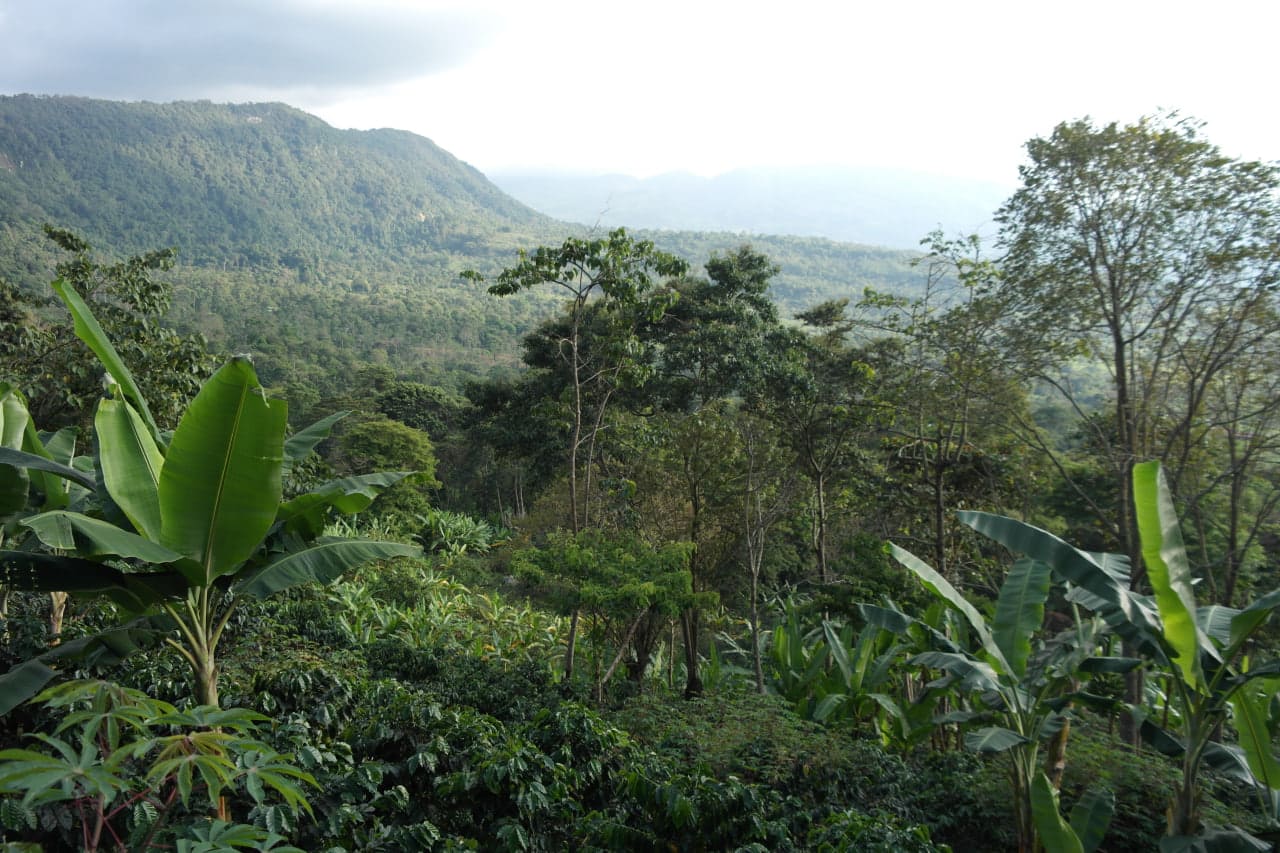 Paisaje de cordillera, oriente del Tolima